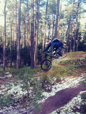 Klicken für Bild in voller Größe