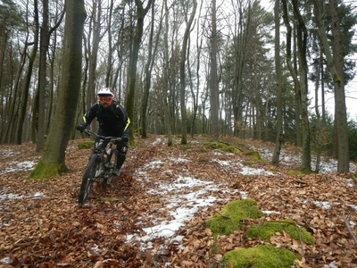 Klicken für Bild in voller Größe