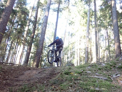 Klicken für Bild in voller Größe