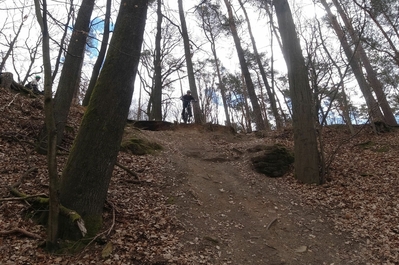 Klicken für Bild in voller Größe