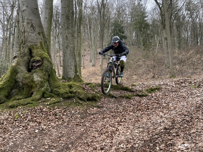 Klicken für Bild in voller Größe