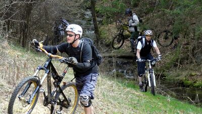 Klicken für Bild in voller Größe