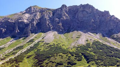 Klicken für Bild in voller Größe