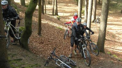 Klicken für Bild in voller Größe