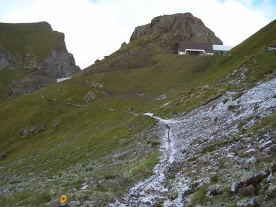 Klicken für Bild in voller Größe