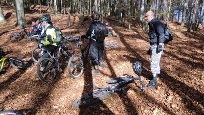 Klicken für Bild in voller Größe