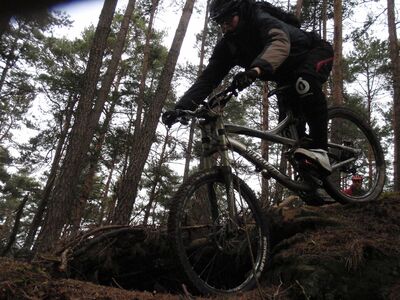 Klicken für Bild in voller Größe