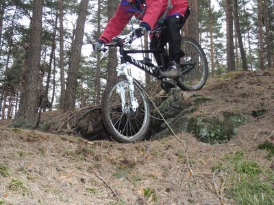 Klicken für Bild in voller Größe