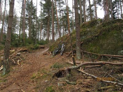 Klicken für Bild in voller Größe