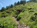 Saalbach_Juli_2011_063.JPG