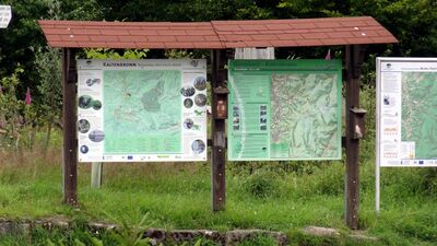 Klicken für Bild in voller Größe