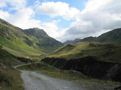Klicken für Bild in voller Größe