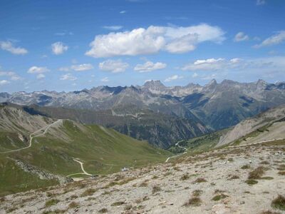 Klicken für Bild in voller Größe