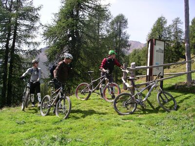 Klicken für Bild in voller Größe