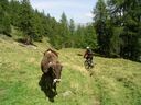 Goldseetrail_September_2011_060.JPG