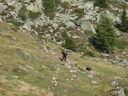 Goldseetrail_September_2011_069.JPG