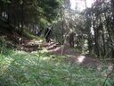 Goldseetrail_September_2011_083.JPG