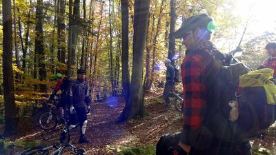 Klicken für Bild in voller Größe