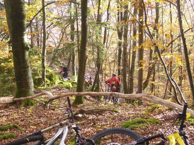 Klicken für Bild in voller Größe