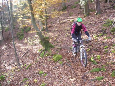 Klicken für Bild in voller Größe