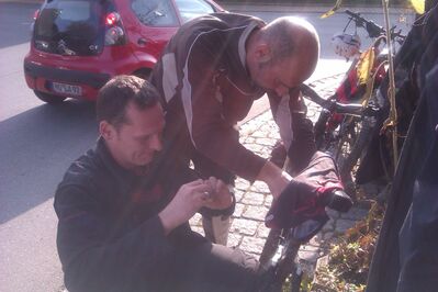 Klicken für Bild in voller Größe