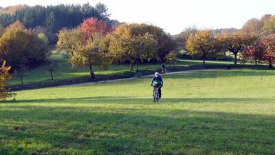 Klicken für Bild in voller Größe