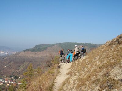 Klicken für Bild in voller Größe