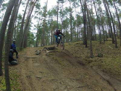 Klicken für Bild in voller Größe