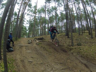 Klicken für Bild in voller Größe