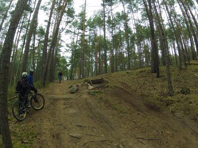 Klicken für Bild in voller Größe