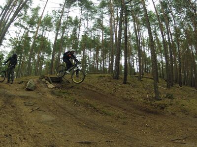 Klicken für Bild in voller Größe