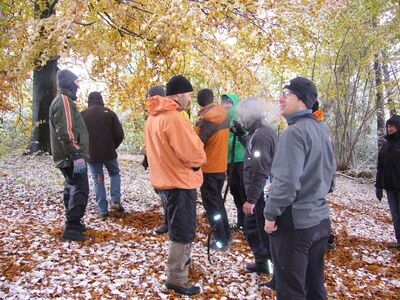 Klicken für Bild in voller Größe