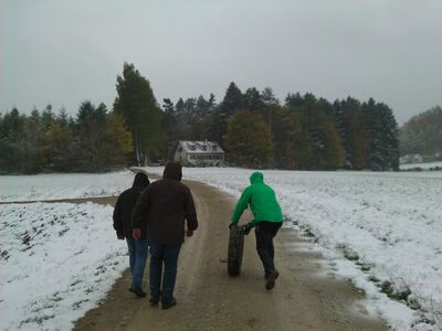 Klicken für Bild in voller Größe