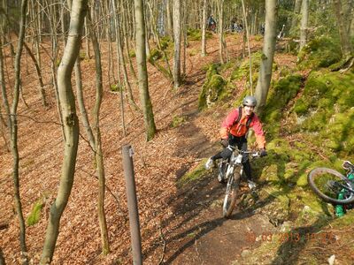 Klicken für Bild in voller Größe