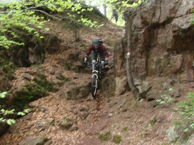 Klicken für Bild in voller Größe