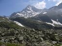 Ortler_Juli_2013__124.jpg