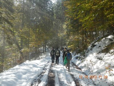 Klicken für Bild in voller Größe