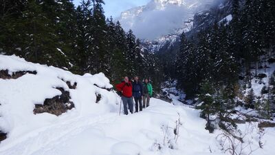 Klicken für Bild in voller Größe