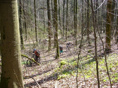 Klicken für Bild in voller Größe