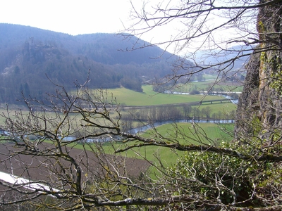 Klicken für Bild in voller Größe