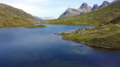 Klicken für Bild in voller Größe