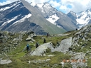 Saalbach_Juli_2014_151.JPG