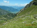 Saalbach_Juli_2014_158.JPG