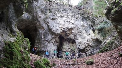 Klicken für Bild in voller Größe
