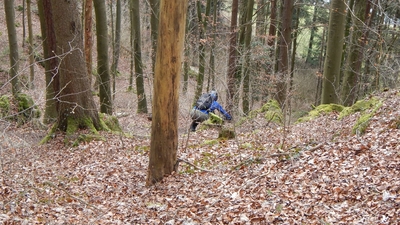 Klicken für Bild in voller Größe