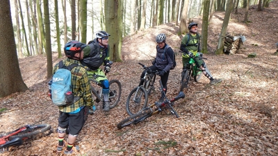 Klicken für Bild in voller Größe