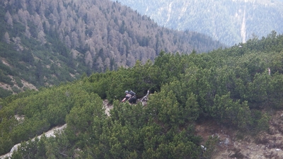 Klicken für Bild in voller Größe