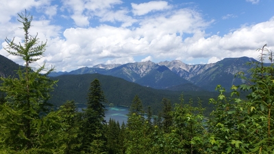 Klicken für Bild in voller Größe