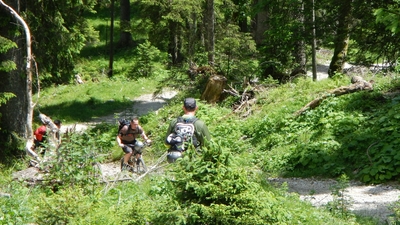 Klicken für Bild in voller Größe