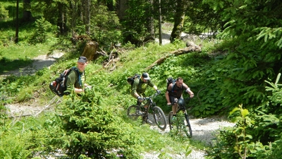 Klicken für Bild in voller Größe